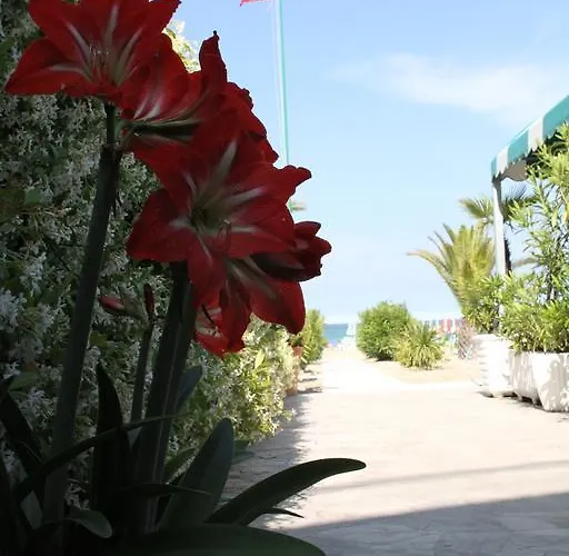 Hotell Fausto San Benedetto del Tronto